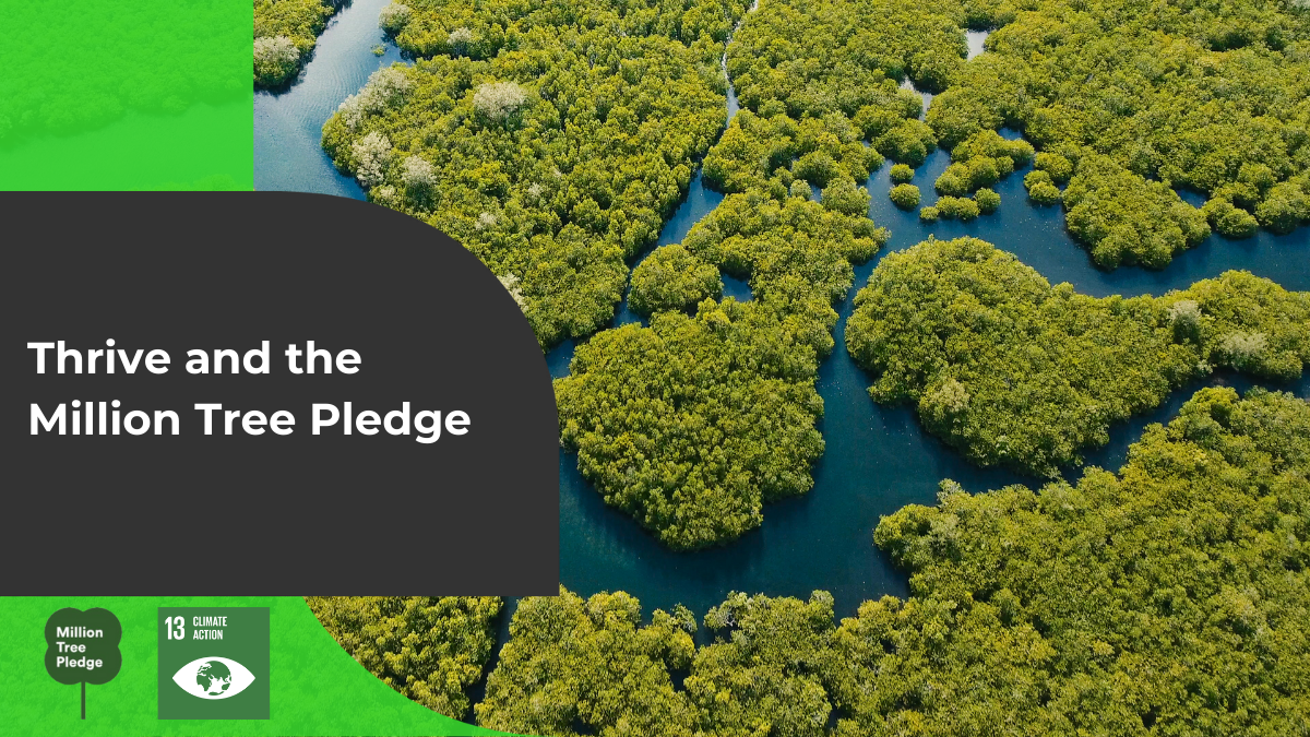 Thrive and the Million Tree Pledge - Thrive - Accountants who know tech.