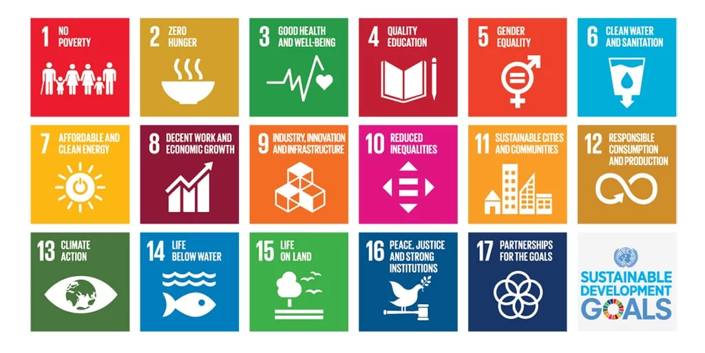 The Global Goals